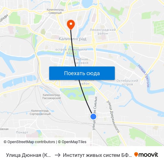 Улица Дюнная (Конечная) to Институт живых систем БФУ им. Канта map