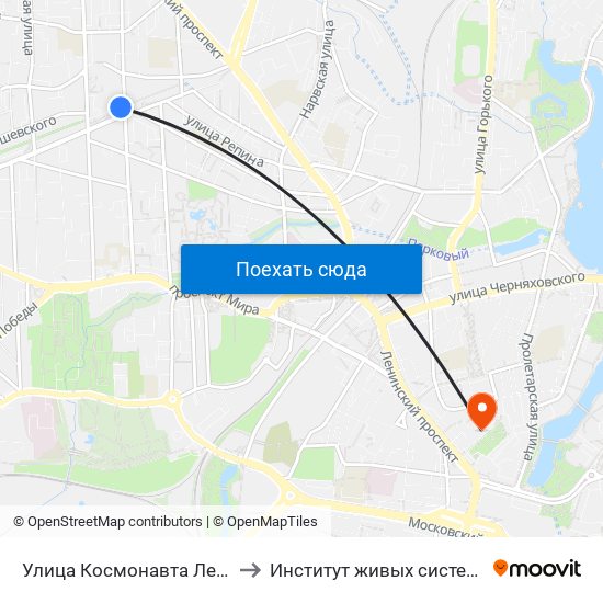 Улица Космонавта Леонова (В Центр) to Институт живых систем БФУ им. Канта map