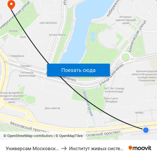 Универсам Московский (Из Центра) to Институт живых систем БФУ им. Канта map