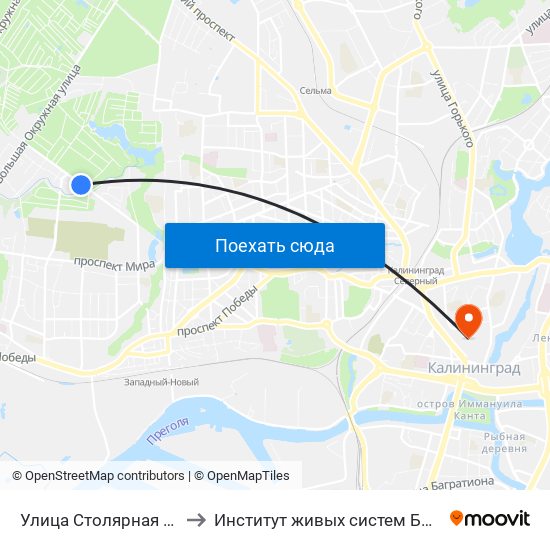 Улица Столярная (В Центр) to Институт живых систем БФУ им. Канта map