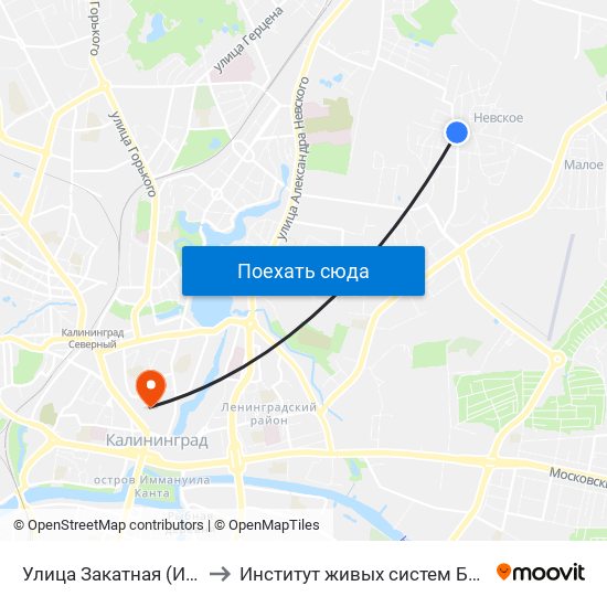 Улица Закатная (Из Центра) to Институт живых систем БФУ им. Канта map