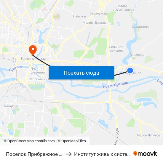 Поселок Прибрежное (По Требованию) to Институт живых систем БФУ им. Канта map