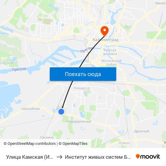 Улица Камская (Из Центра) to Институт живых систем БФУ им. Канта map