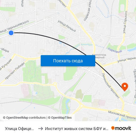 Улица Офицерская to Институт живых систем БФУ им. Канта map