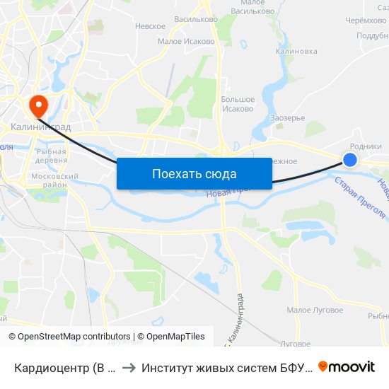 Кардиоцентр (В Центр) to Институт живых систем БФУ им. Канта map