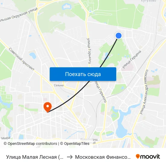 Улица Малая Лесная (По Требованию, Из Центра) to Московская Финансовая Юридическая Академия map