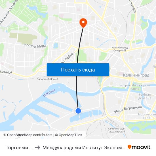 Торговый Порт to Международный Институт Экономики и Права map