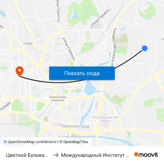 Цветной Бульвар (Из Центра) to Международный Институт Экономики и Права map