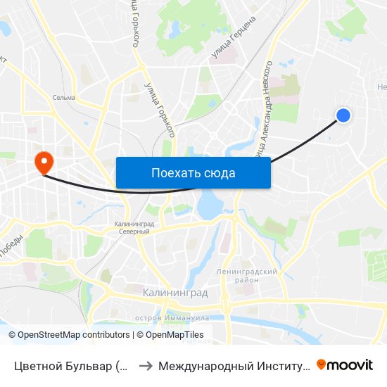 Цветной Бульвар (Дет. Сад, В Центр) to Международный Институт Экономики и Права map
