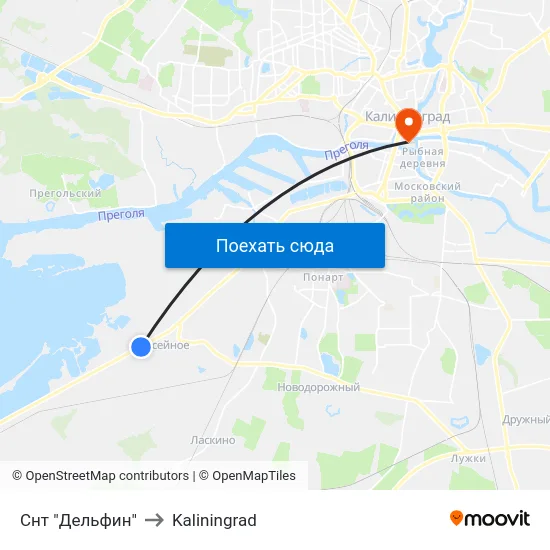 Снт "Дельфин" to Kaliningrad map