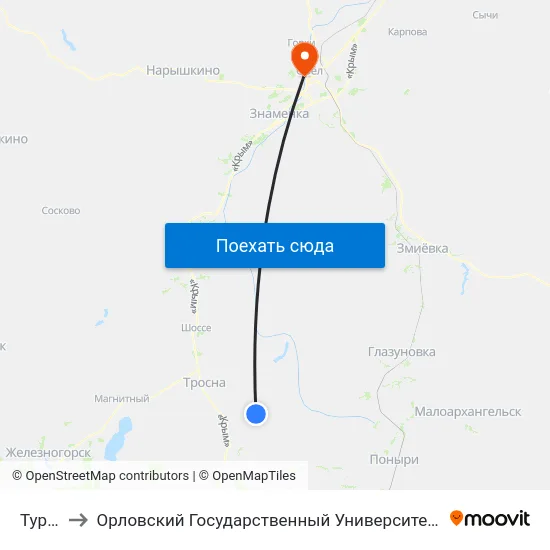 Турейка to Орловский Государственный Университет. Медицинский Институт map