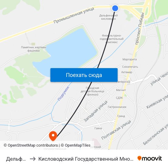 Дельфинарий to Кисловодский Государственный Многопрофильный Техникум map
