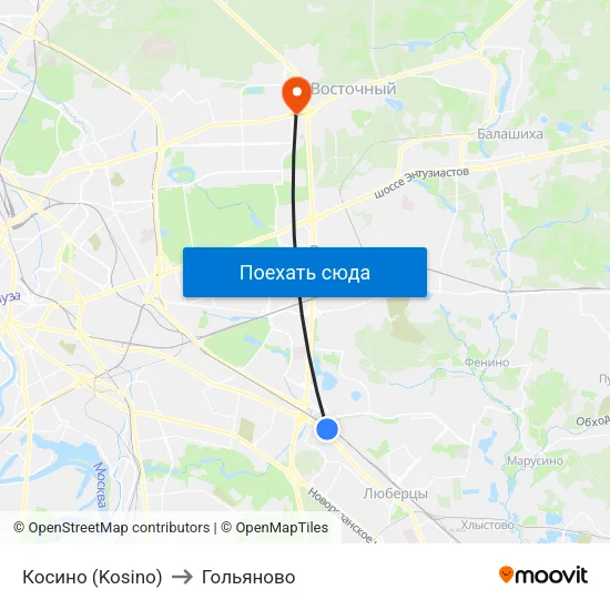 Косино (Kosino) to Гольяново map