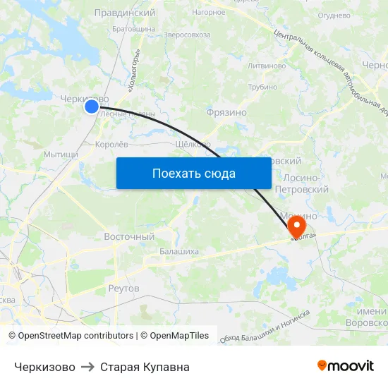 Черкизово to Старая Купавна map