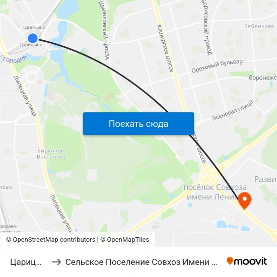 Царицыно to Сельское Поселение Совхоз Имени Ленина map