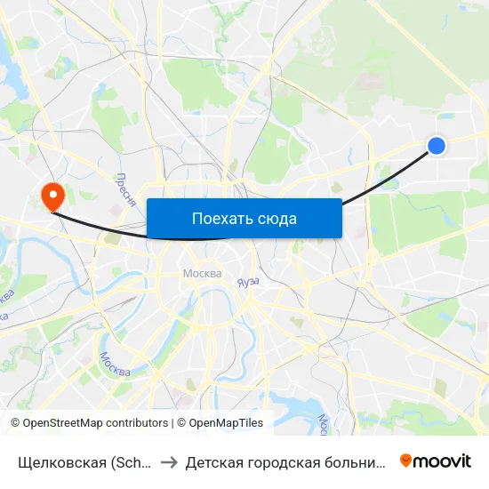 Щелковская (Schelkovskaya) to Детская городская больница им. Филатова map