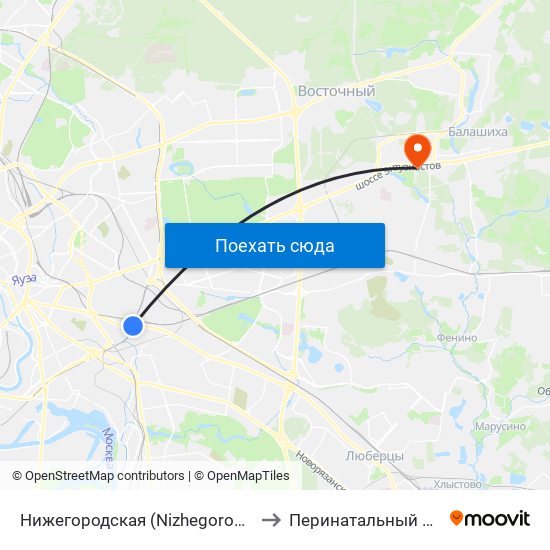 Нижегородская (Nizhegorodskaya) to Перинатальный центр map