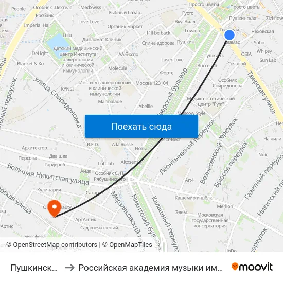 Пушкинская пл. to Российская академия музыки имени Гнесиных map