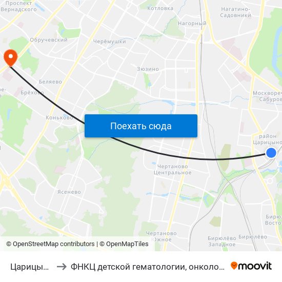 Царицыно (Tsaritsyno) to ФНКЦ детской гематологии, онкологии и иммунологии имени Дмитрия Рогачева map