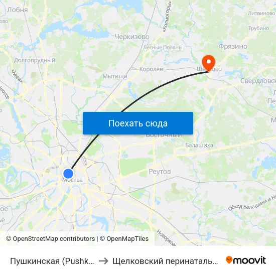 Пушкинская (Pushkinskaya) to Щелковский перинатальный центр map
