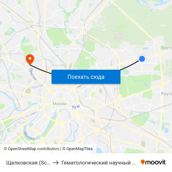 Щелковская (Schelkovskaya) to Гематологический научный центр Минздрава РФ map