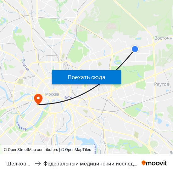 Щелковская (Schelkovskaya) to Федеральный медицинский исследовательский центр психиатрии и наркологии имени В. П. Сербского map