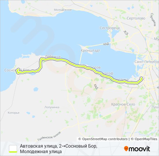 План города сосновый бор ленинградская область. Костромских автобусы маршруты. Г иваново маршрут 144 автобуса. Маршруты автобусов сосновый бор. Карта автобусов бор 3.