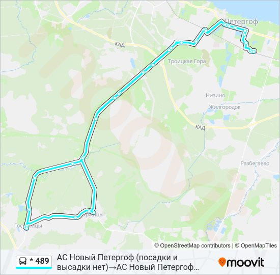 Автобус * 489: карта маршрута
