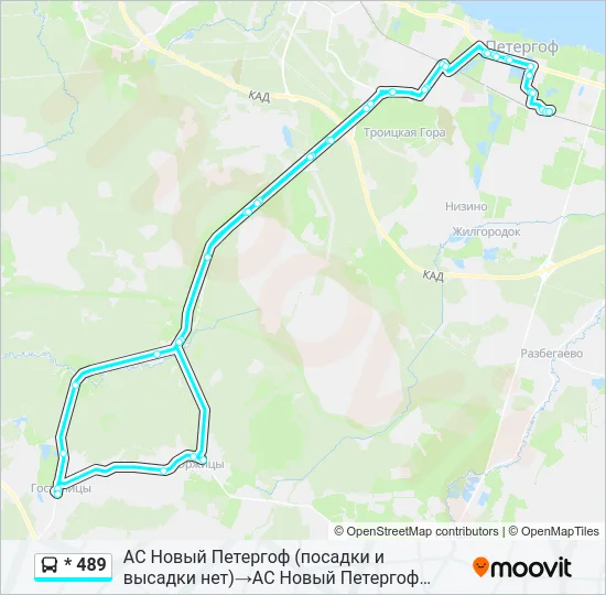 * 489 Bus Line Map