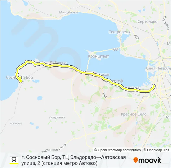 * 401 (СОСНОВЫЙ БОР) Bus Line Map