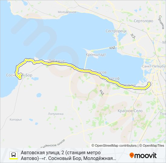 Автобус * 401 (СОСНОВЫЙ БОР): карта маршрута