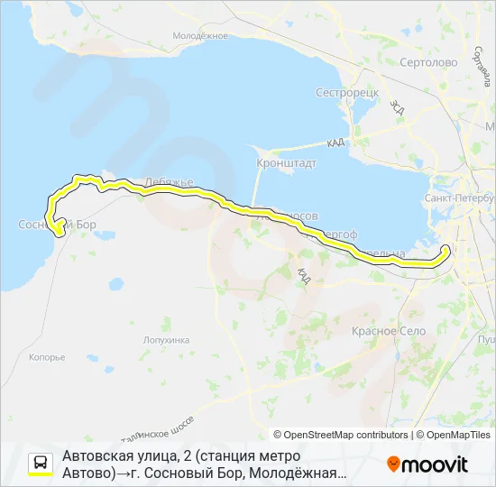 * 401 (СОСНОВЫЙ БОР) Bus Line Map