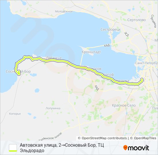 Расписание 401 автобуса из спб. Автобус 401 Сосновый Бор. Маршрут 401 Сосновый Бор до дворца Меньшикова. Маршрут 401 Сосновый Бор до дворца Меньшикова рисунки.