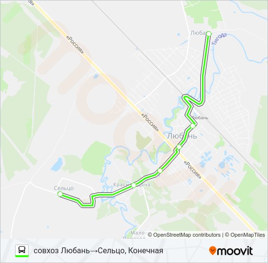 Автобус * 6 (ТОСНЕНСКИЙ РАЙОН): карта маршрута