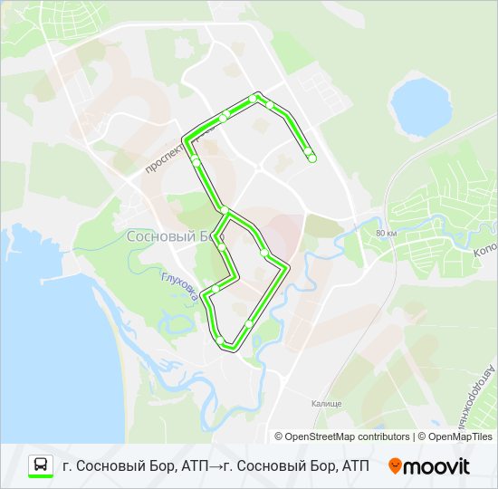 * 4 (СОСНОВЫЙ БОР) Bus Line Map