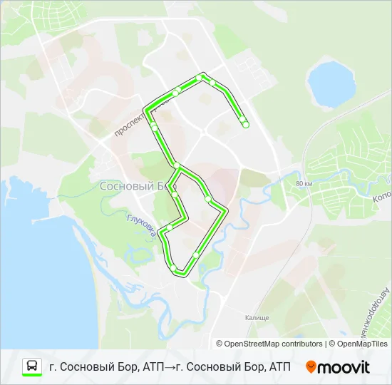 * 4 (СОСНОВЫЙ БОР) Bus Line Map
