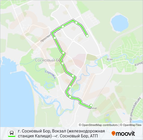 Автобус * 5 (СОСНОВЫЙ БОР): карта маршрута