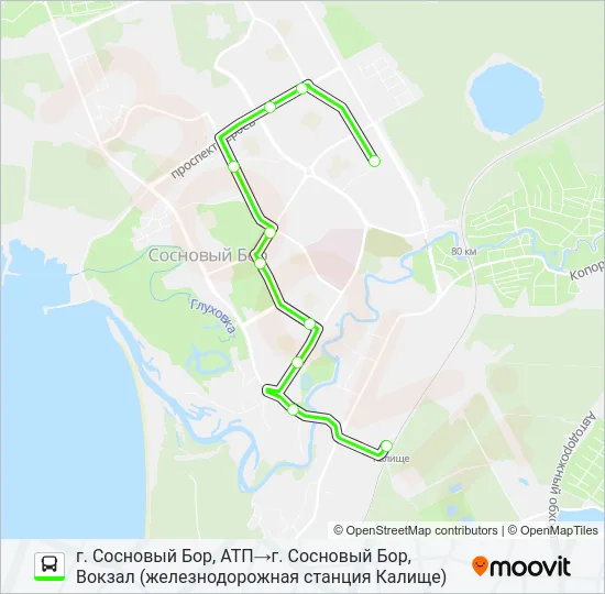 * 5 (СОСНОВЫЙ БОР) Bus Line Map