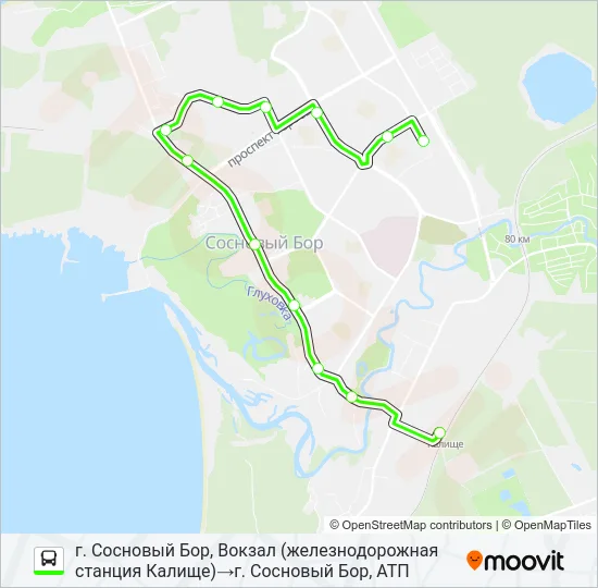 * 6 (СОСНОВЫЙ БОР) Bus Line Map