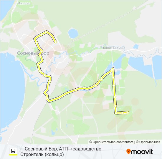 Автобус * 11 (СОСНОВЫЙ БОР): карта маршрута