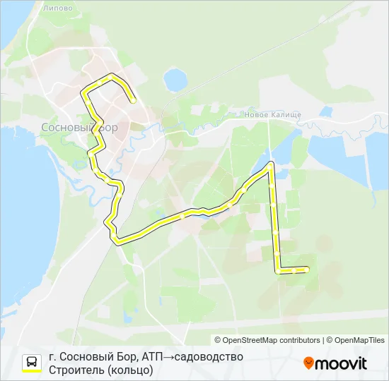 Автобус * 11 (СОСНОВЫЙ БОР): карта маршрута