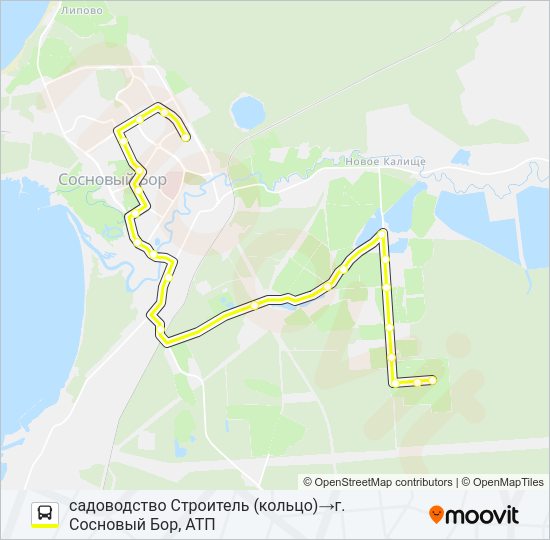 Автобус * 11 (СОСНОВЫЙ БОР): карта маршрута