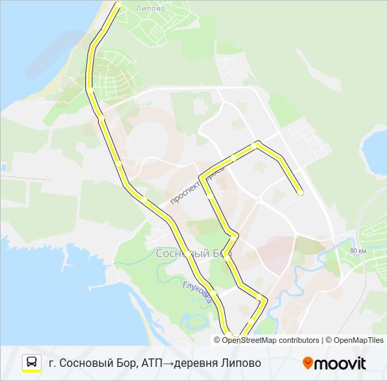 Автобус * 12 (СОСНОВЫЙ БОР): карта маршрута