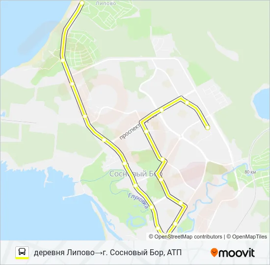 * 12 (СОСНОВЫЙ БОР) Bus Line Map