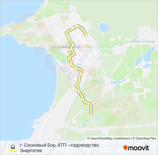 Автобус * 10А (СОСНОВЫЙ БОР): карта маршрута