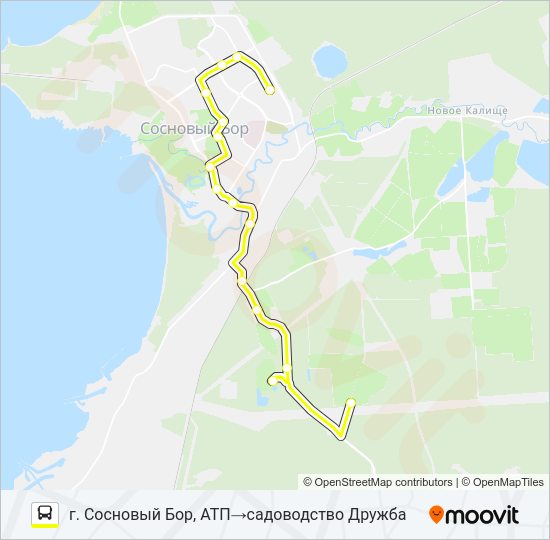Автобус * 10А (СОСНОВЫЙ БОР): карта маршрута