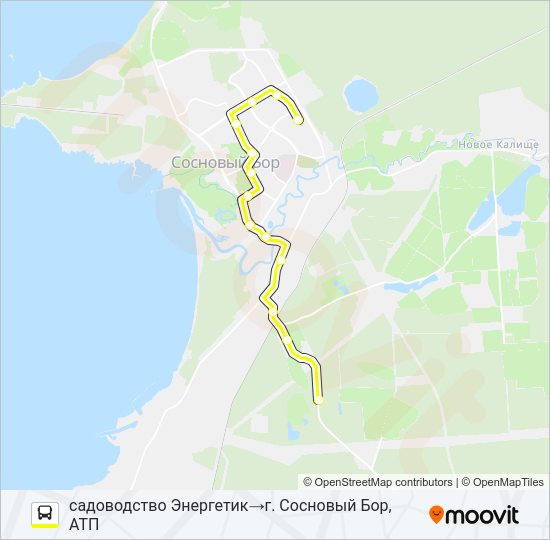 Автобус * 10А (СОСНОВЫЙ БОР): карта маршрута