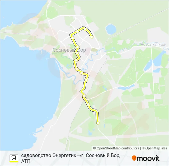 * 10А (СОСНОВЫЙ БОР) Bus Line Map