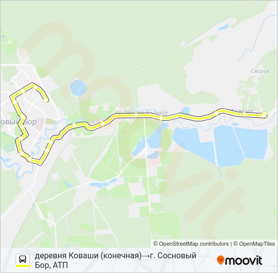 Автобус * 20А (СОСНОВЫЙ БОР): карта маршрута