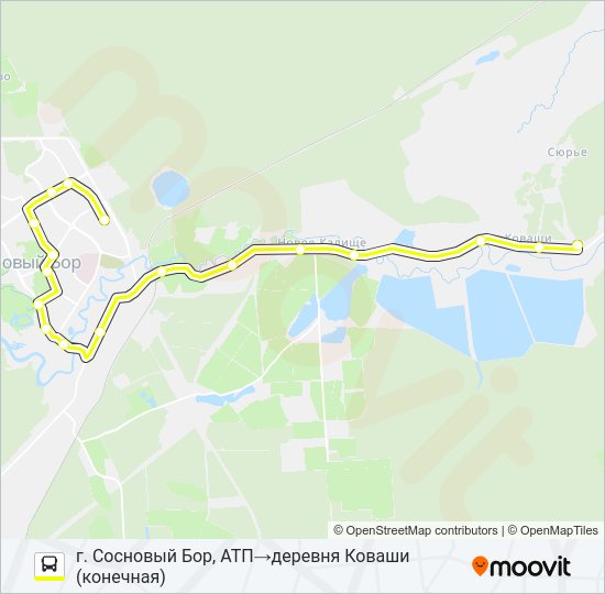 Автобус * 20А (СОСНОВЫЙ БОР): карта маршрута